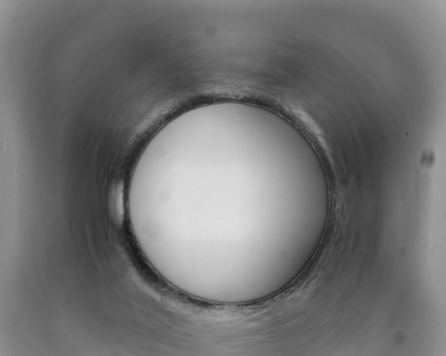 X0000090880020200707271027