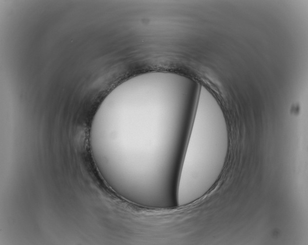 X0000090880029200707271027