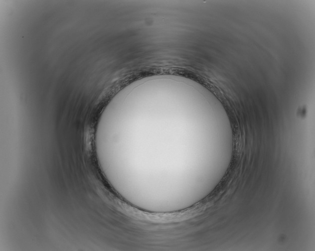 X0000090880038200707271026