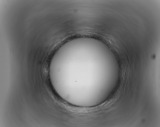 X0000090880040200707271026