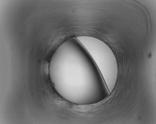 X0000090880041200707271026