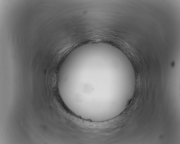 X0000090880043200707271026