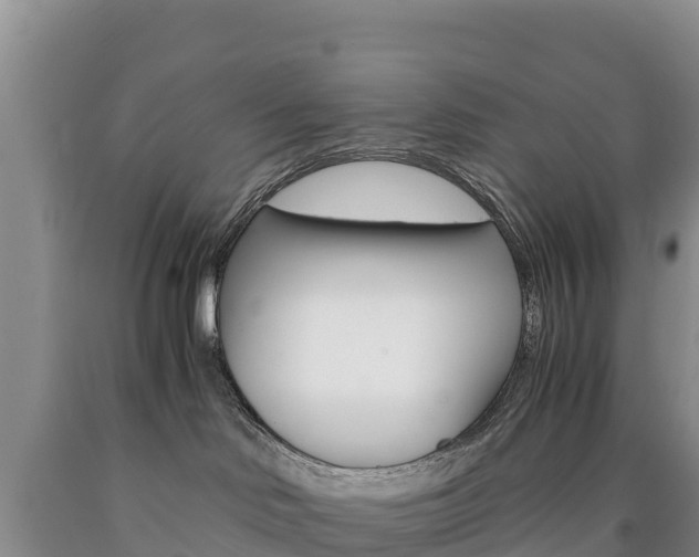 X0000090880046200707271026