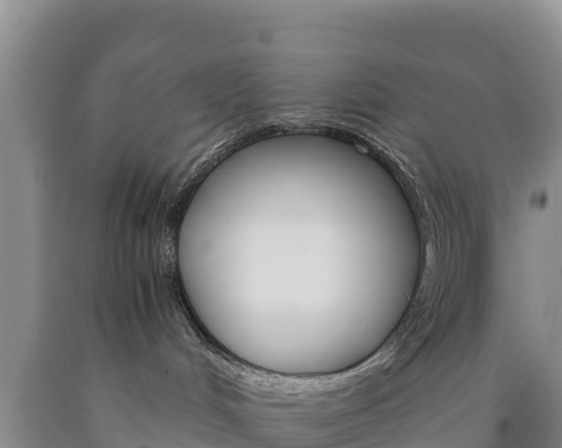 X0000090880048200707271026