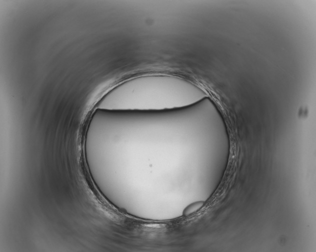 X0000090880053200707271026