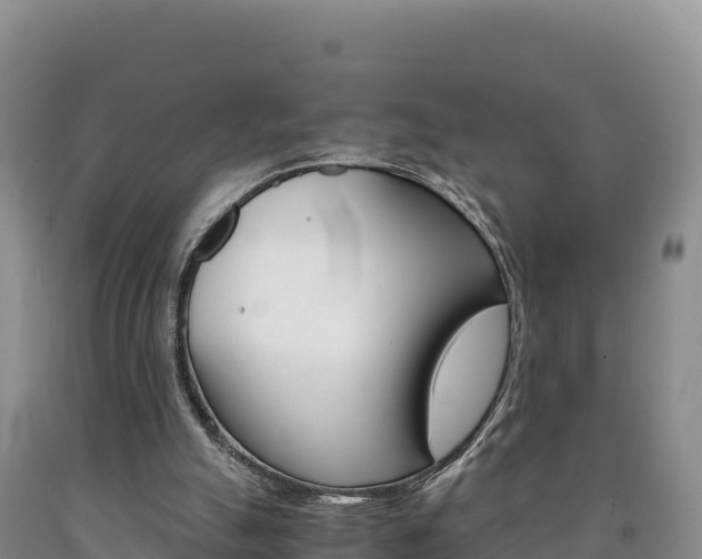 X0000090880055200707271026