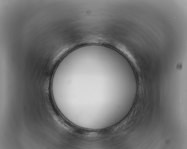 X0000090880058200707271026
