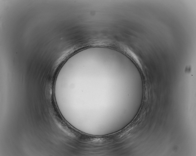 X0000090880059200707271026