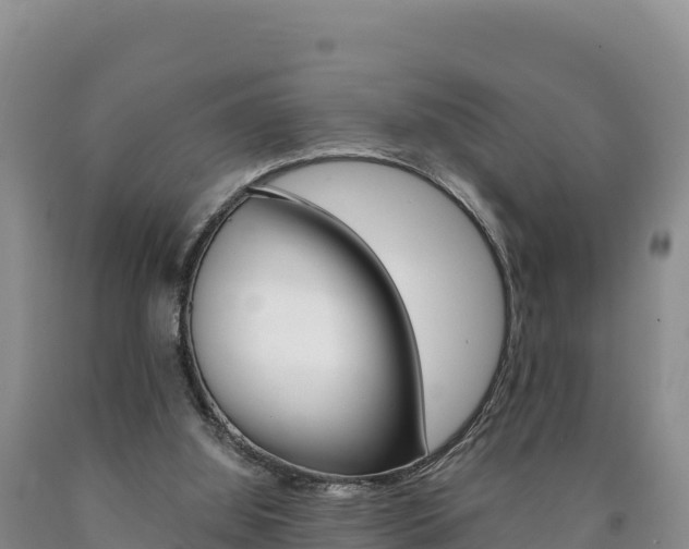 X0000090880060200707271026