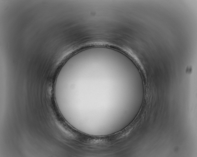 X0000090880063200707271026