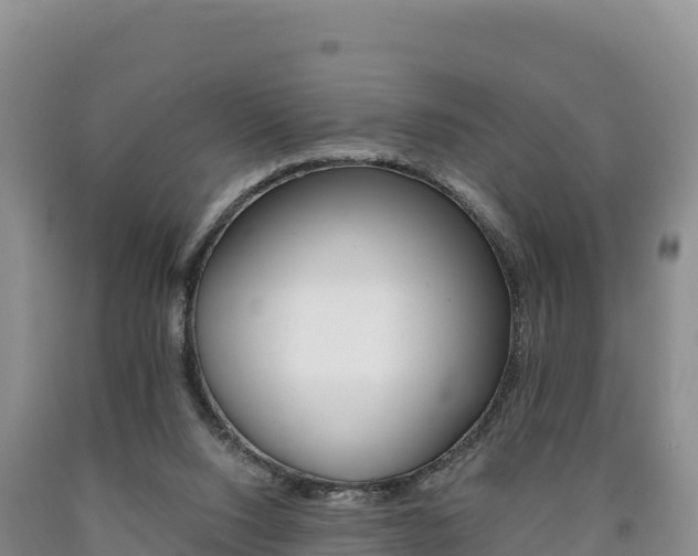 X0000090880064200707271026