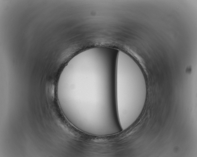 X0000090880067200707271026