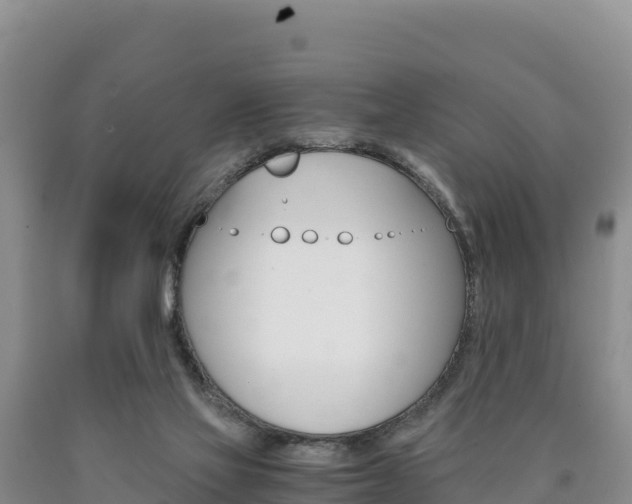 X0000090880069200707271026