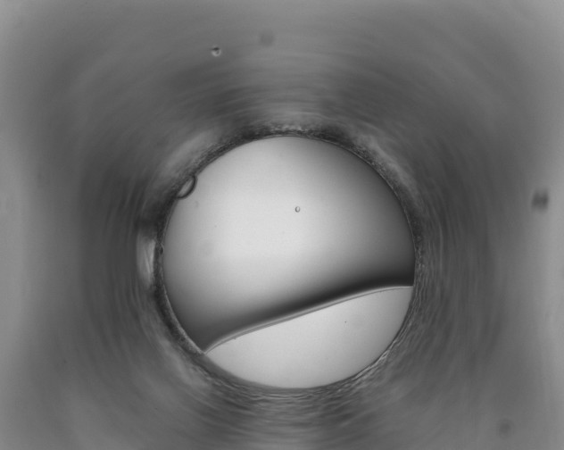 X0000090880070200707271026