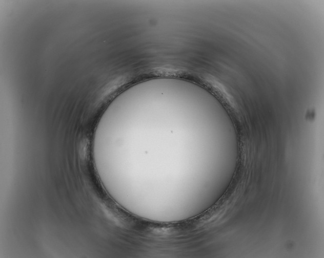 X0000090880071200707271026