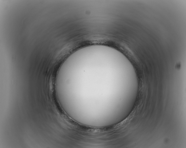 X0000090880074200707271026