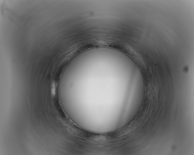 X0000090880075200707271026