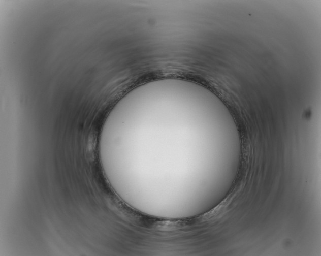 X0000090880082200707271026