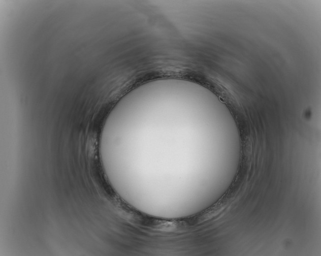 X0000090880083200707271026