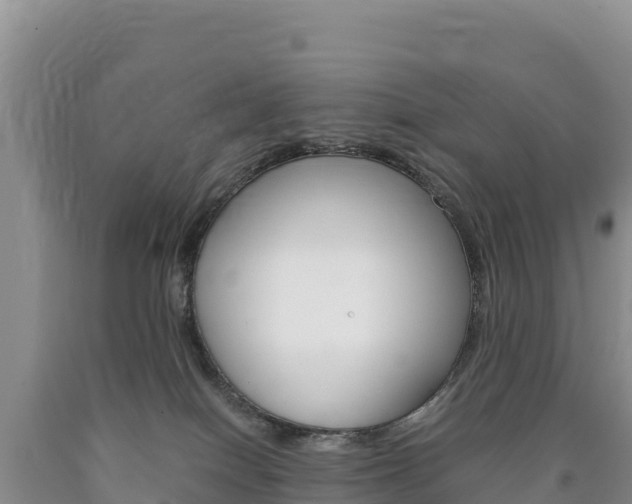 X0000090880086200707271026