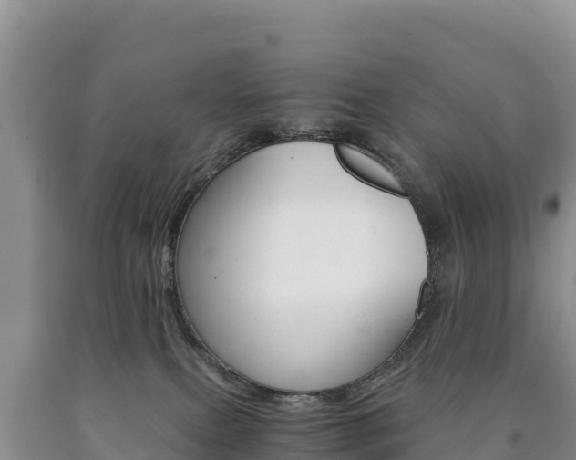 X0000090880087200707271026