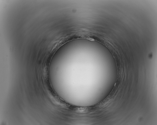 X0000090880088200707271026