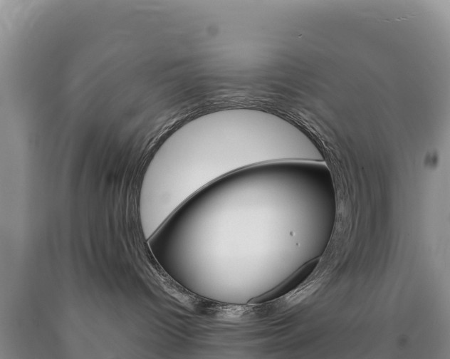 X0000090880096200707271026