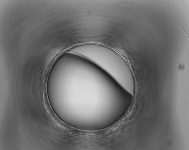 X0000090880097200707271025