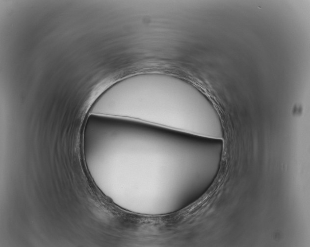 X0000090880099200707271025