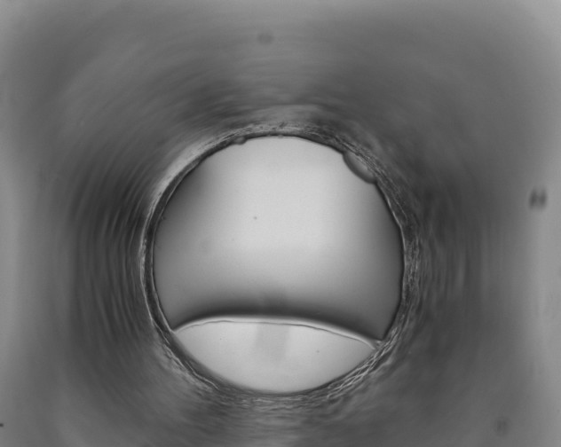 X0000090880100200707271025