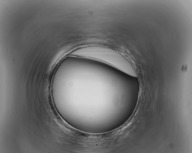 X0000090880101200707271025