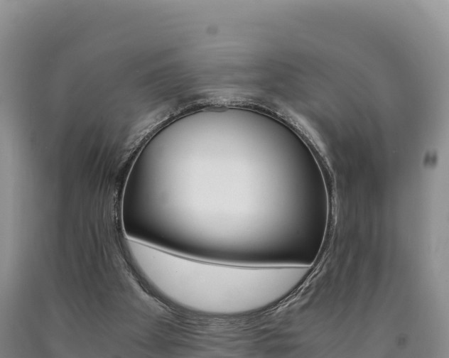 X0000090880105200707271025