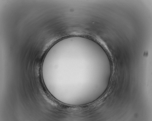 X0000090880106200707271025