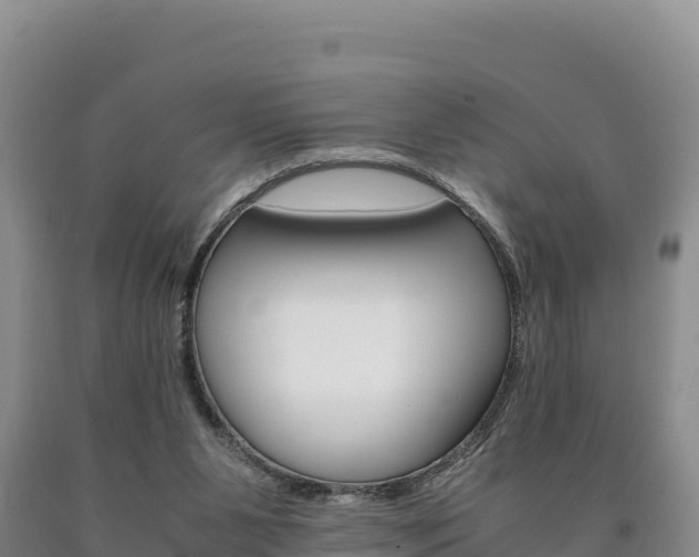 X0000090880111200707271025