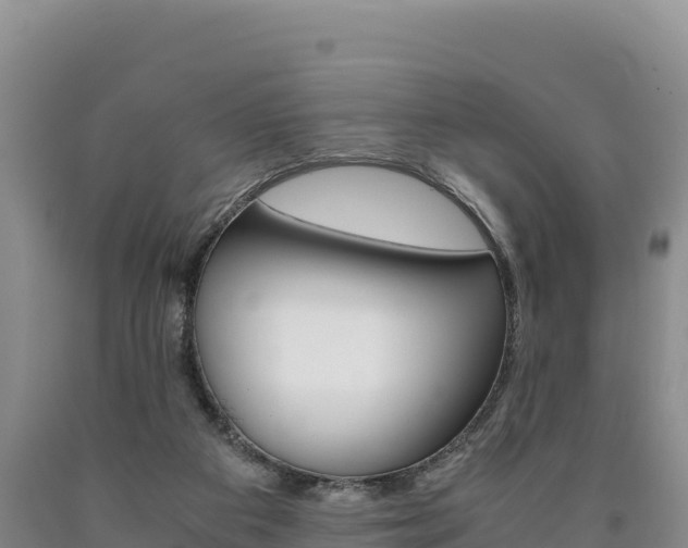X0000090880113200707271025