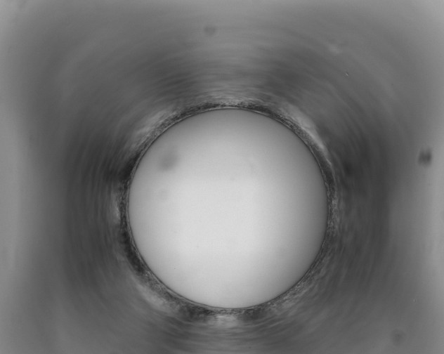 X0000090880114200707271025