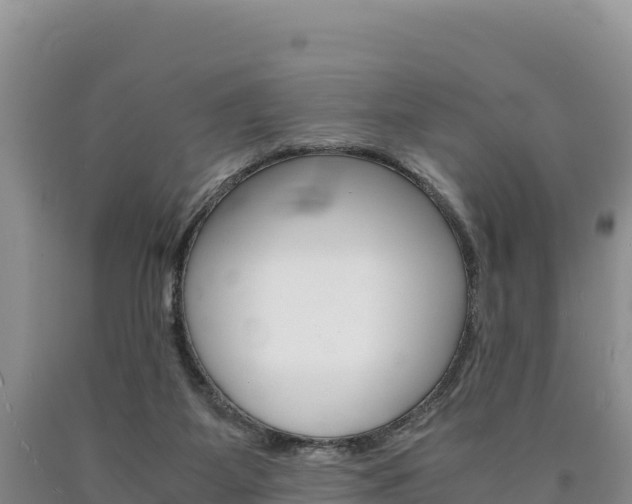 X0000090880115200707271025
