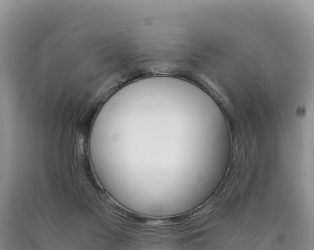 X0000090880117200707271025