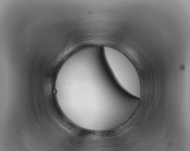X0000090880120200707271025