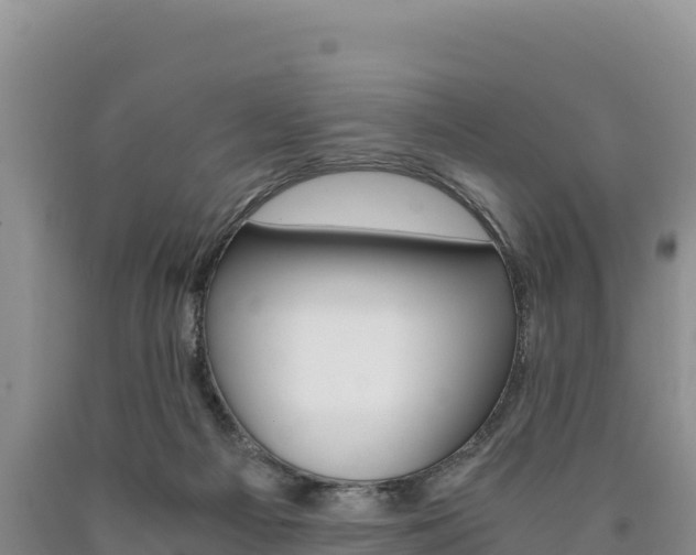 X0000090880121200707271025