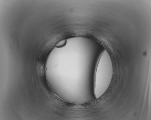 X0000090880123200707271025