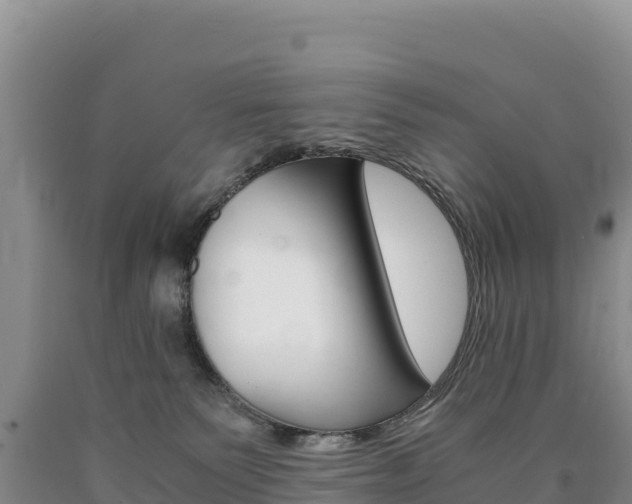 X0000090880135200707271025