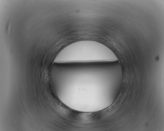 X0000090880136200707271025