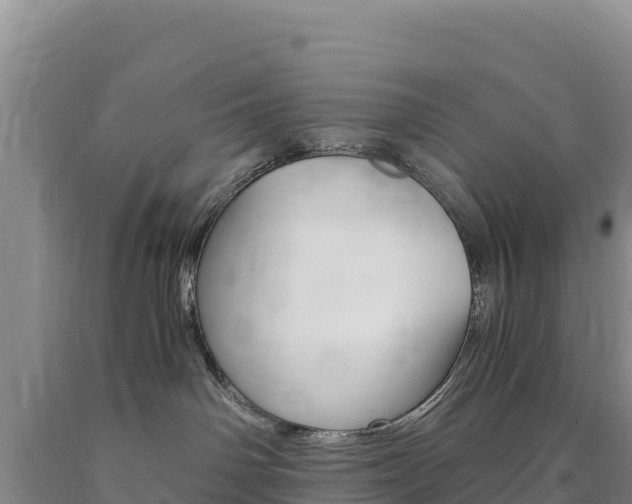 X0000090880142200707271025