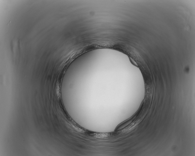 X0000090880143200707271025