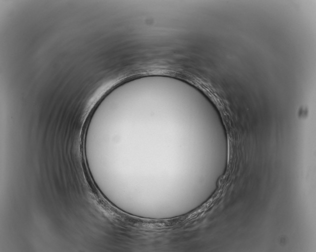 X0000090880147200707271024