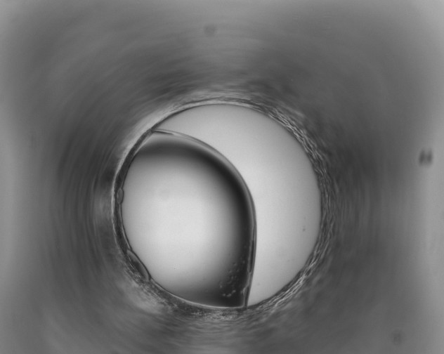 X0000090880148200707271024