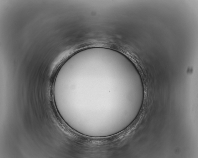 X0000090880149200707271024