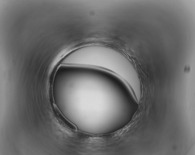 X0000090880150200707271024