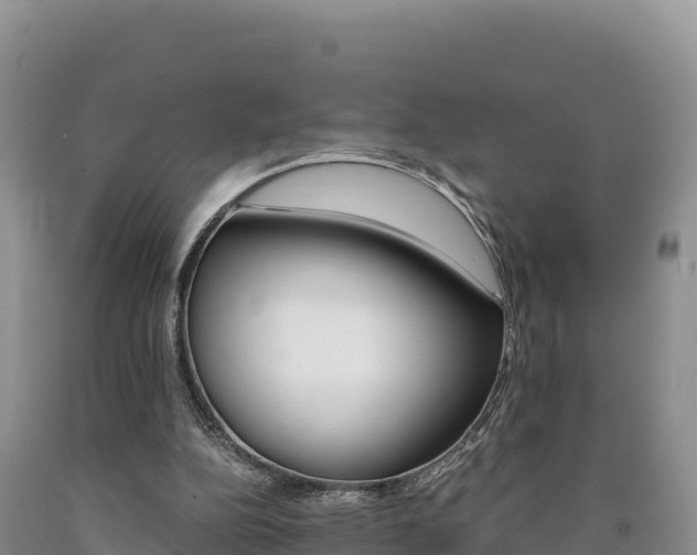 X0000090880152200707271024